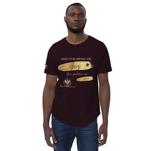 Big Dreams Small Problems Curved Hem T-Shirt